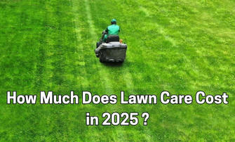 How Much Does Lawn Care Cost in 2025? What Homeowners Should Budget