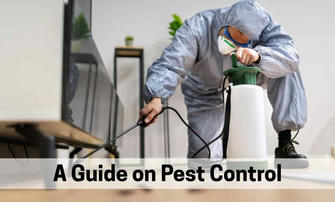 How Often Should You Schedule Pest Control? A Guide for Homeowners