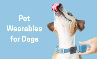 Top GPS Trackers for Dogs: How Pet Wearables Are Helping Owners Stay Connected